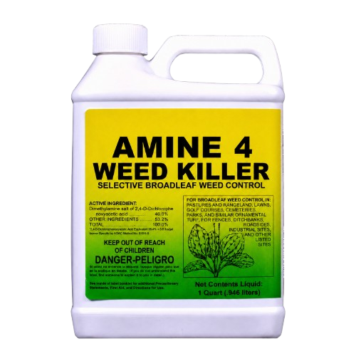 Amine 4