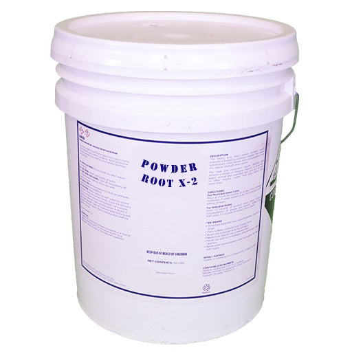 Powder Root X-2
